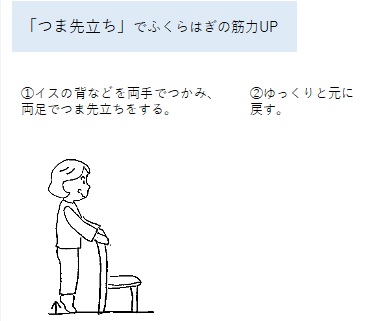 つま先立ち運動